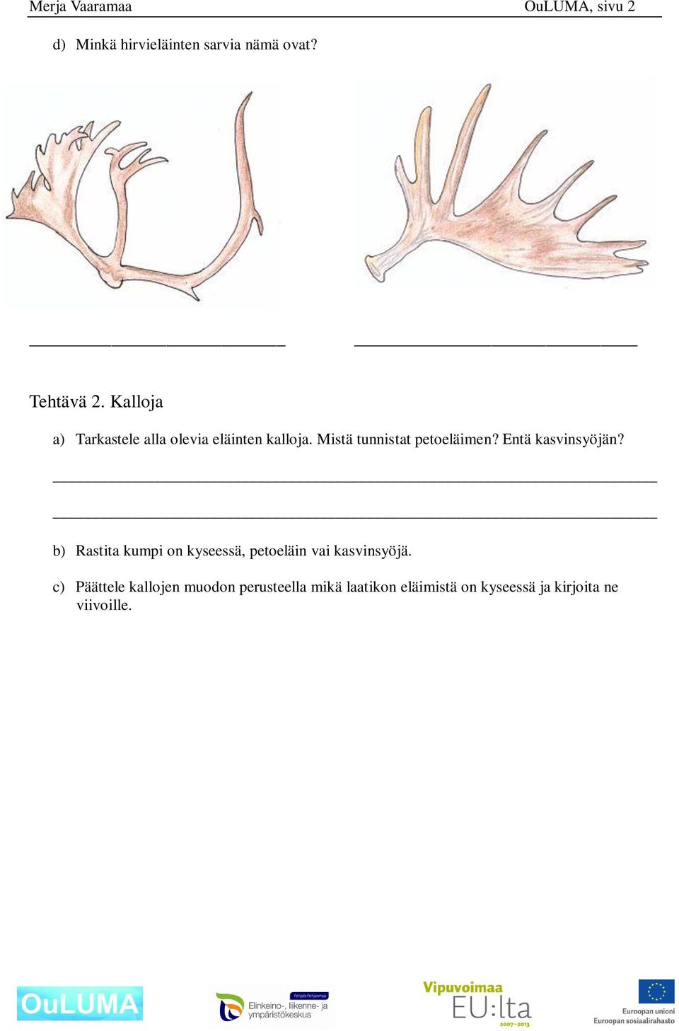 Mistä tunnistat eläimen? Entä n? b) Rastita kumpi on kyseessä, eläin vai.