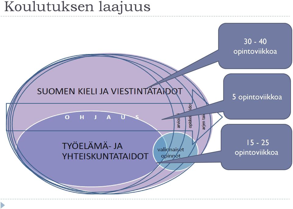 opintoviikkoa 5