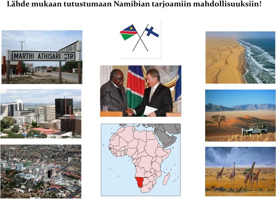 Namibian