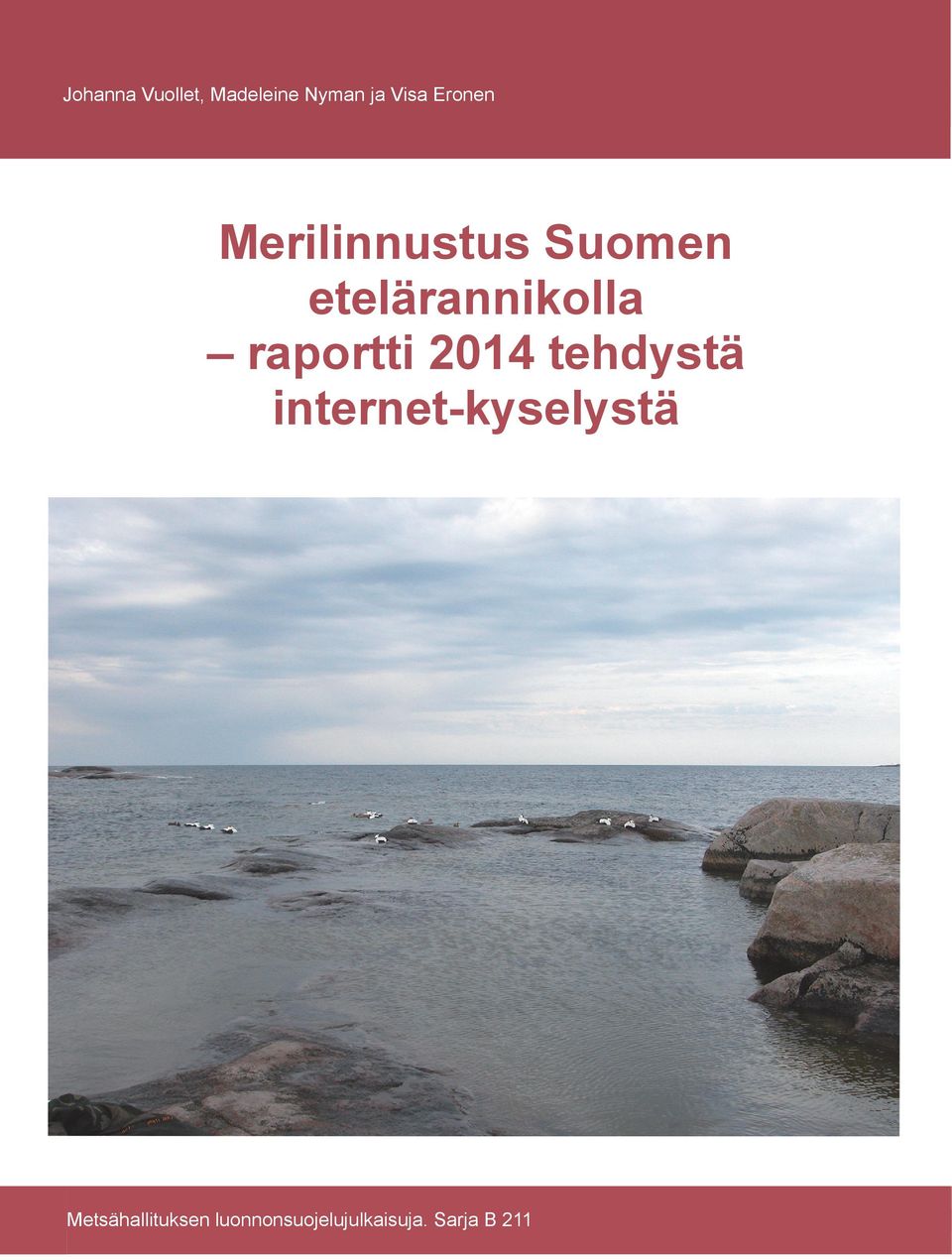 raportti 2014 tehdystä internet-kyselystä