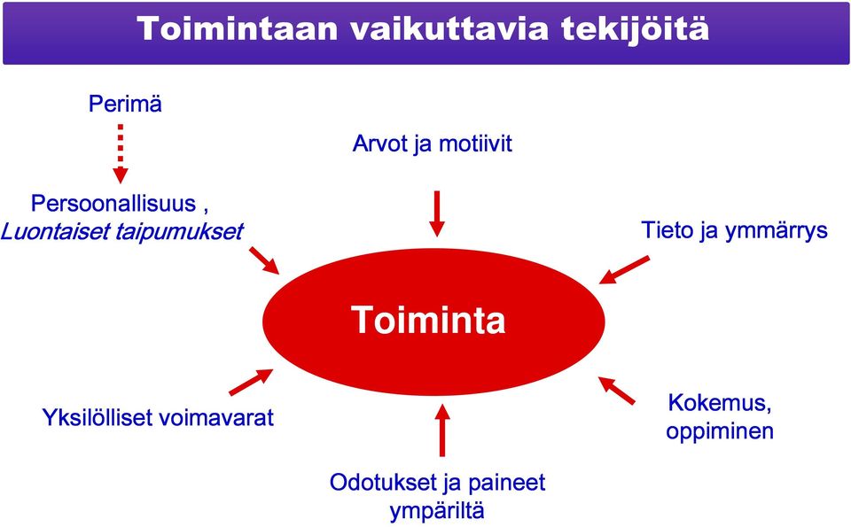 Tieto ja ymmärrys Toiminta Yksilölliset lliset