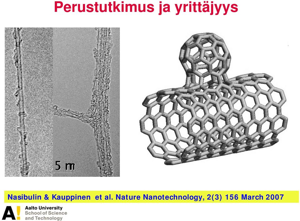 Kauppinen et al.