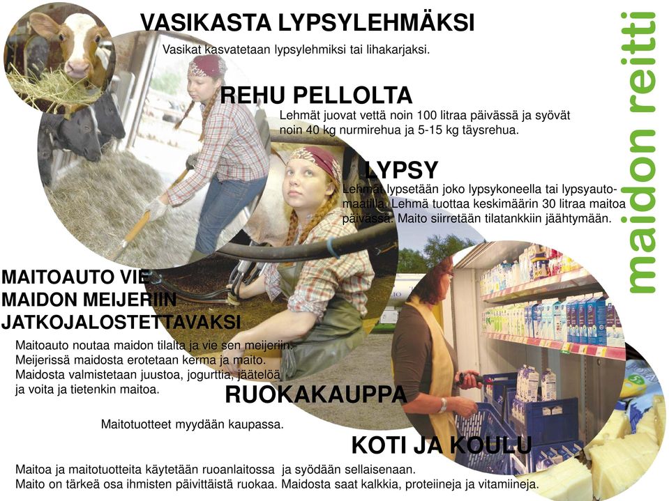 REHU PELLOLTA Lehmät juovat vettä noin 100 litraa päivässä ja syövät noin 40 kg nurmirehua ja 5-15 kg täysrehua. RUOKAKAUPPA LYPSY Lehmät lypsetään joko lypsykoneella tai lypsyautomaatilla.