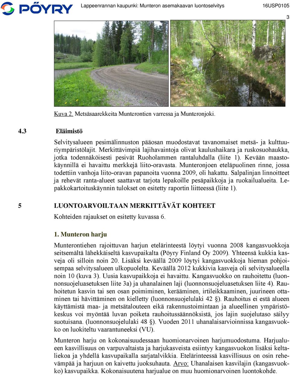 Munteronjoen eteläpuolinen rinne, jossa todettiin vanhoja liito-oravan papanoita vuonna 2009, oli hakattu.