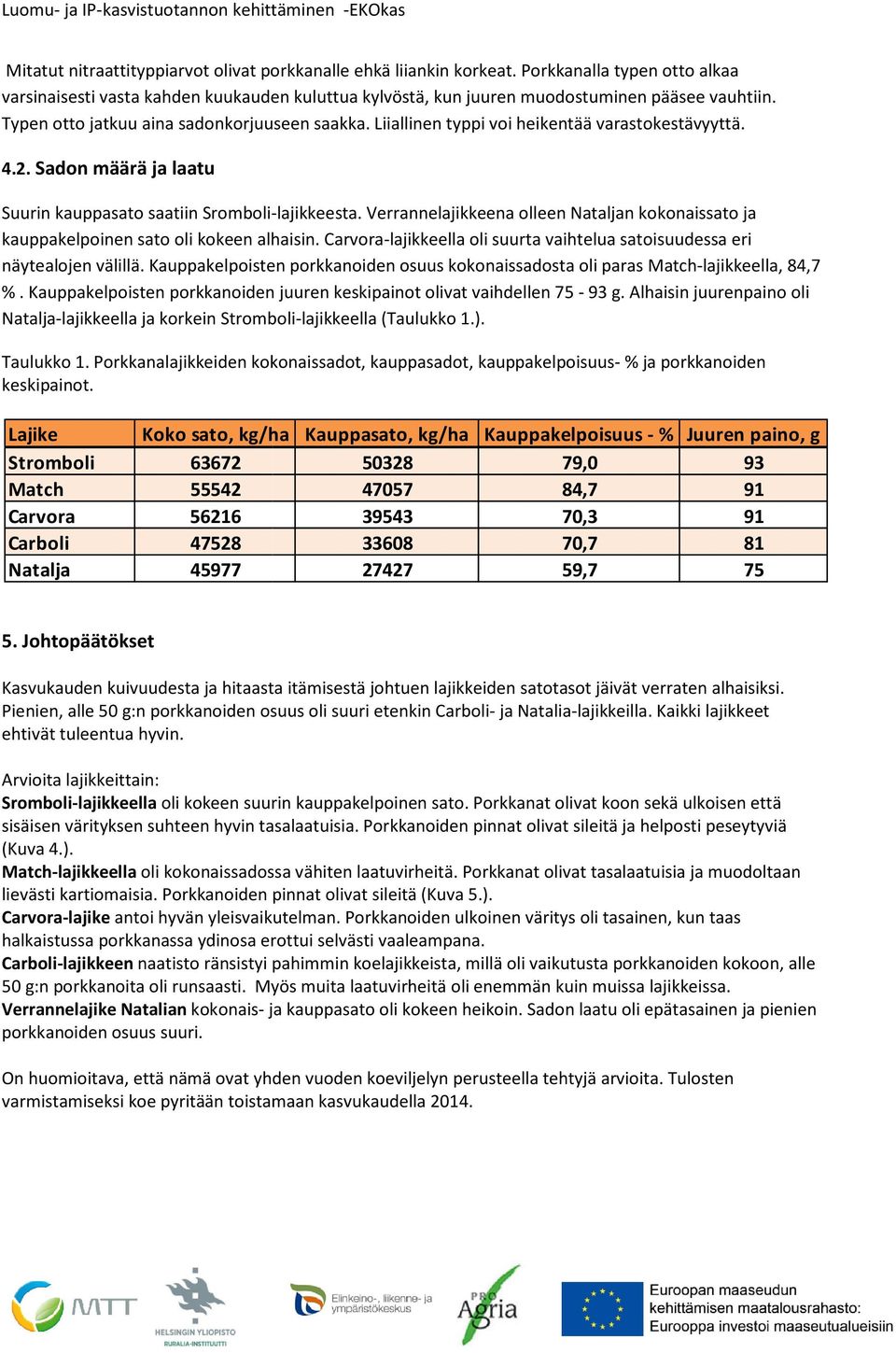 Verrannelajikkeena olleen Nataljan kokonaissato ja kauppakelpoinen sato oli kokeen alhaisin. Carvora-lajikkeella oli suurta vaihtelua satoisuudessa eri näytealojen välillä.