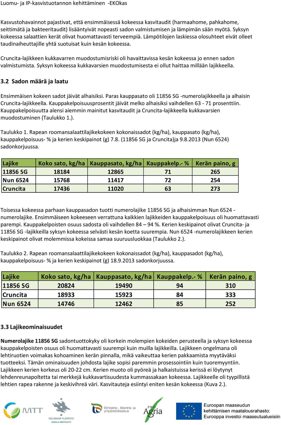 Cruncita-lajikkeen kukkavarren muodostumisriski oli havaittavissa kesän kokeessa jo ennen sadon valmistumista. Syksyn kokeessa kukkavarsien muodostumisesta ei ollut haittaa millään lajikkeella. 3.