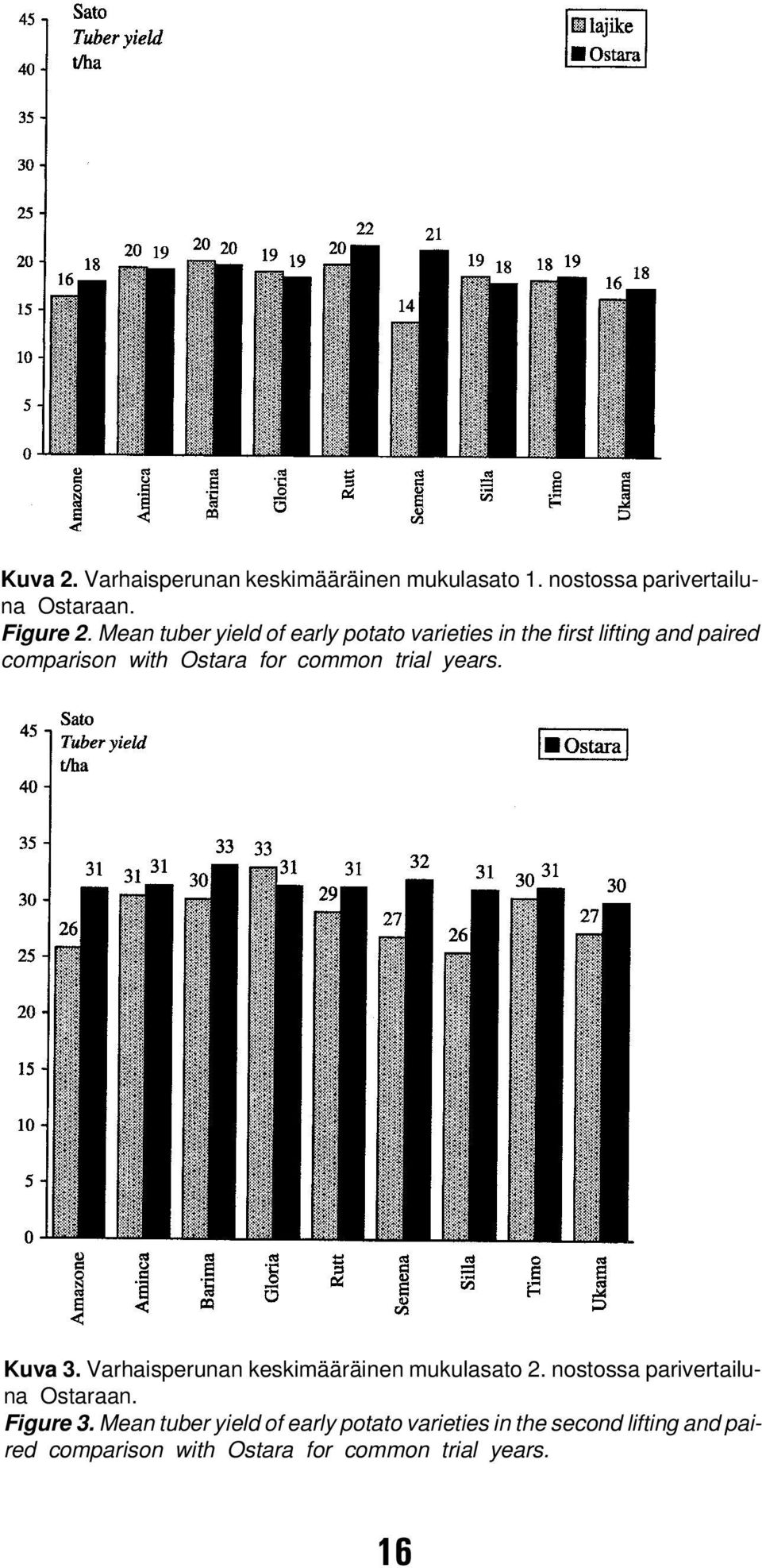 trial years. Kuva 3. Varhaisperunan keskimääräinen mukulasato 2. nostossa parivertailuna Ostaraan. Figure 3.