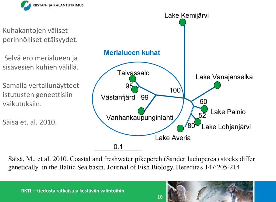 Merialueen kuhat Taivassalo Västanfjärd Vanhankaupunginlahti 0.