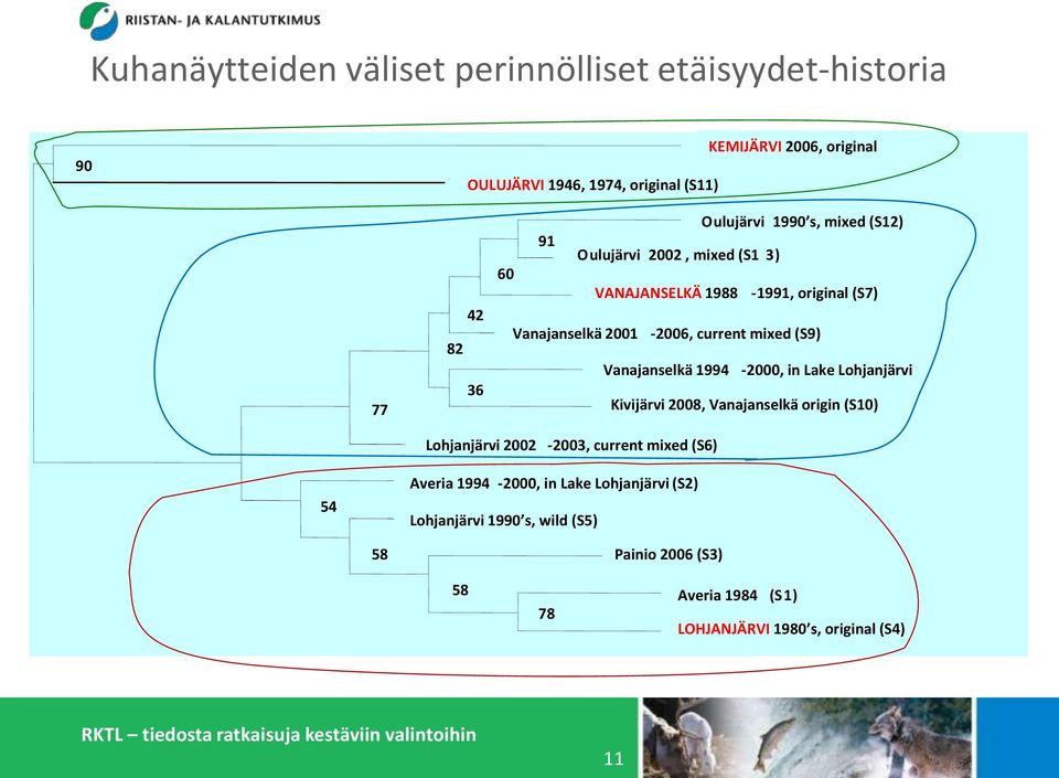 Vanajanselkä 1994-2000, in Lake Lohjanjärvi (S8) Kivijärvi 2008, Vanajanselkä origin (S10) Lohjanjärvi 2002-2003, current mixed (S6) 54 Averia