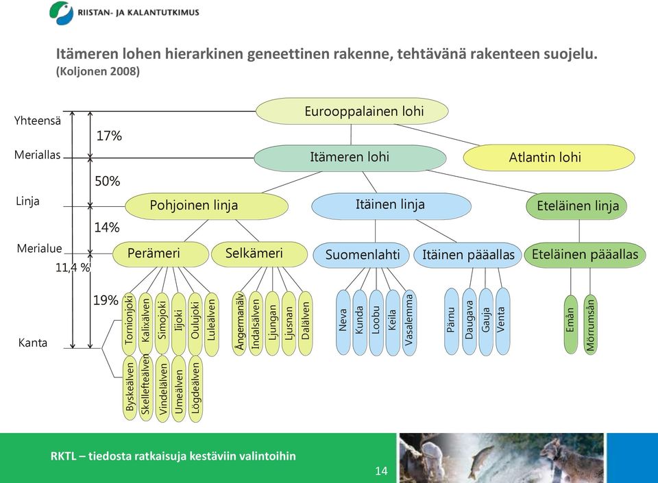 hierarkinen geneettinen rakenne, tehtävänä rakenteen suojelu.