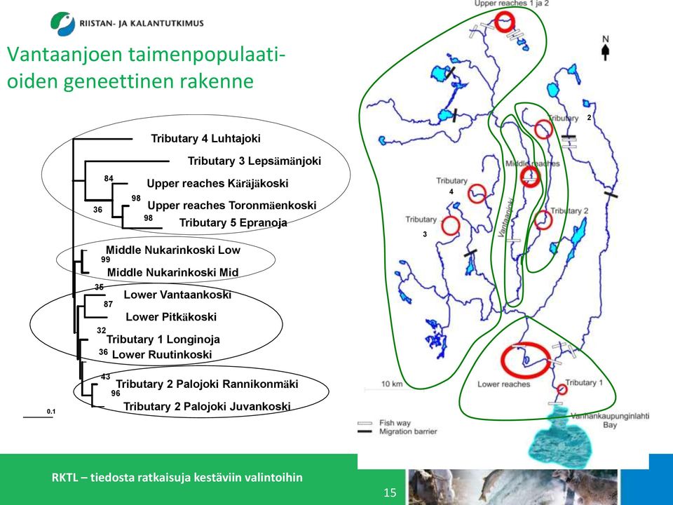 Epranoja Middle Nukarinkoski Low Middle Nukarinkoski Mid Lower Vantaankoski Lower Pitkäkoski Tributary