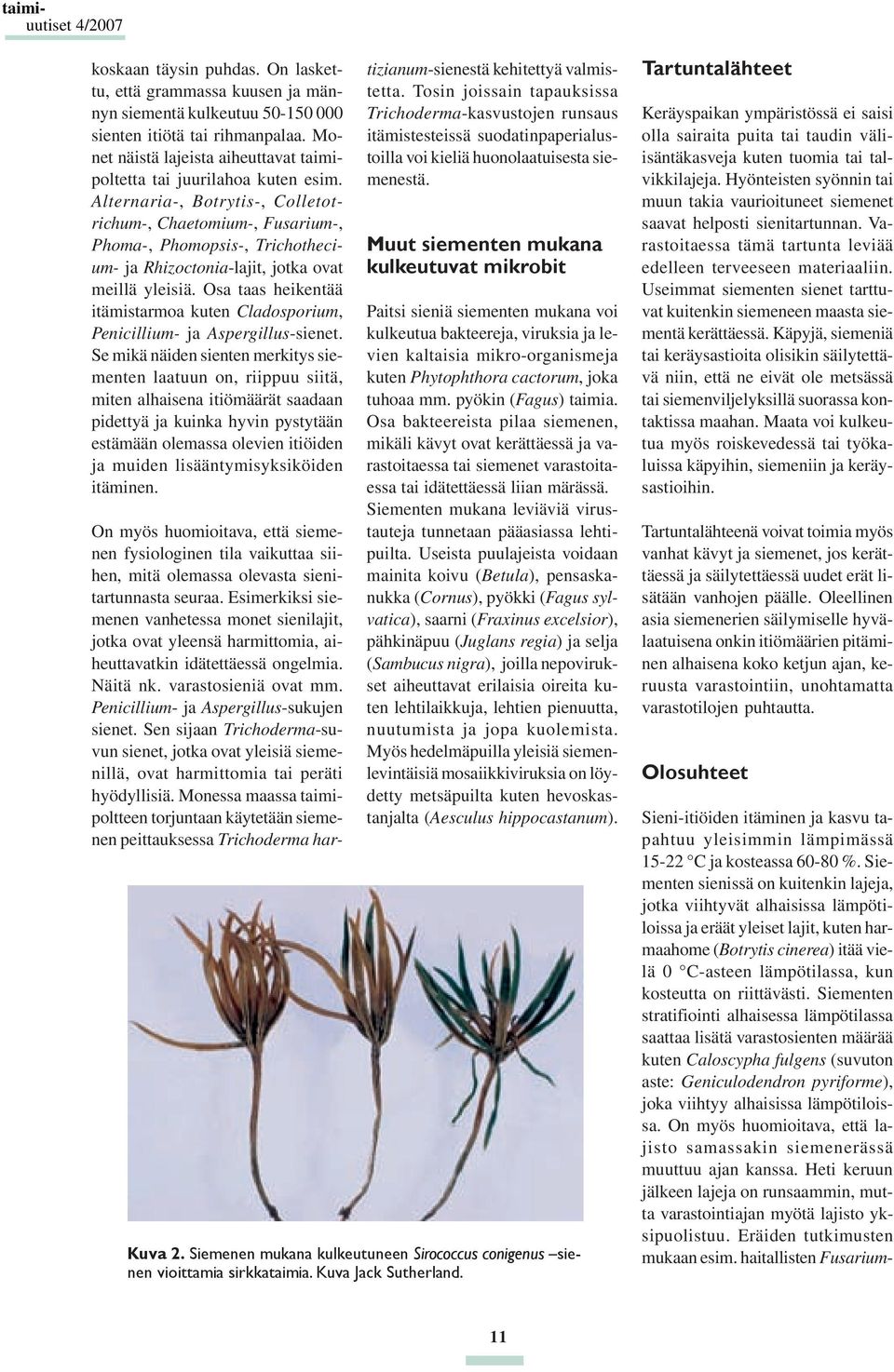 Alternaria-, Botrytis-, Colletotrichum-, Chaetomium-, Fusarium-, Phoma-, Phomopsis-, Trichothecium- ja Rhizoctonia-lajit, jotka ovat meillä yleisiä.
