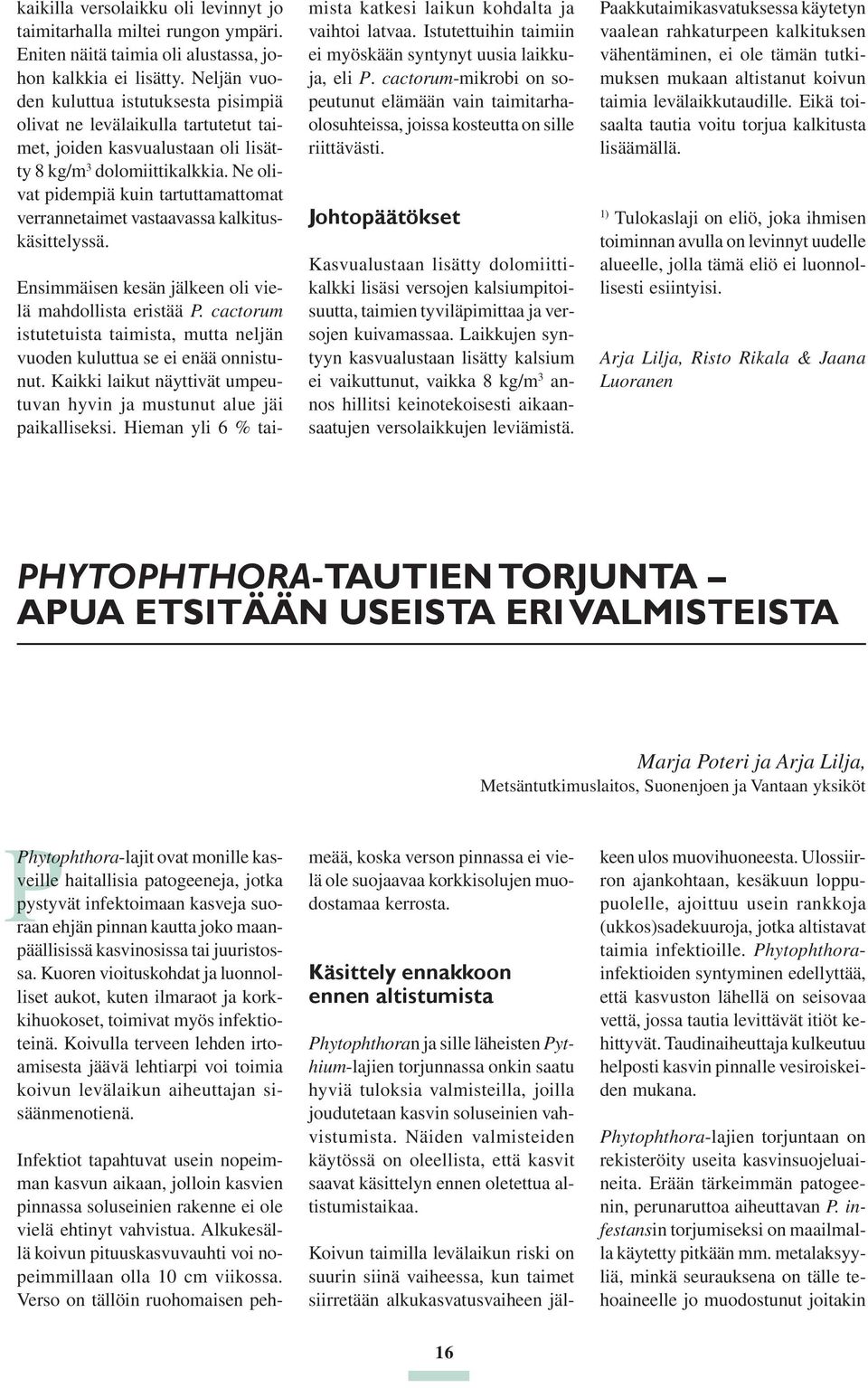 Ne olivat pidempiä kuin tartuttamattomat verrannetaimet vastaavassa kalkituskäsittelyssä. Ensimmäisen kesän jälkeen oli vielä mahdollista eristää P.
