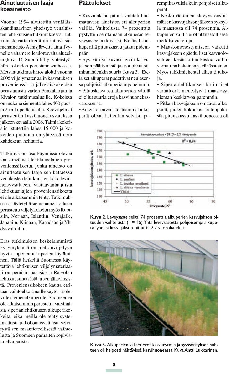 Metsäntutkimuslaitos aloitti vuonna 2005 viljelymateriaalin kasvatuksen provenienssi- ja jälkeläiskokeiden perustamista varten Punkaharjun ja Kivalon tutkimusalueille.