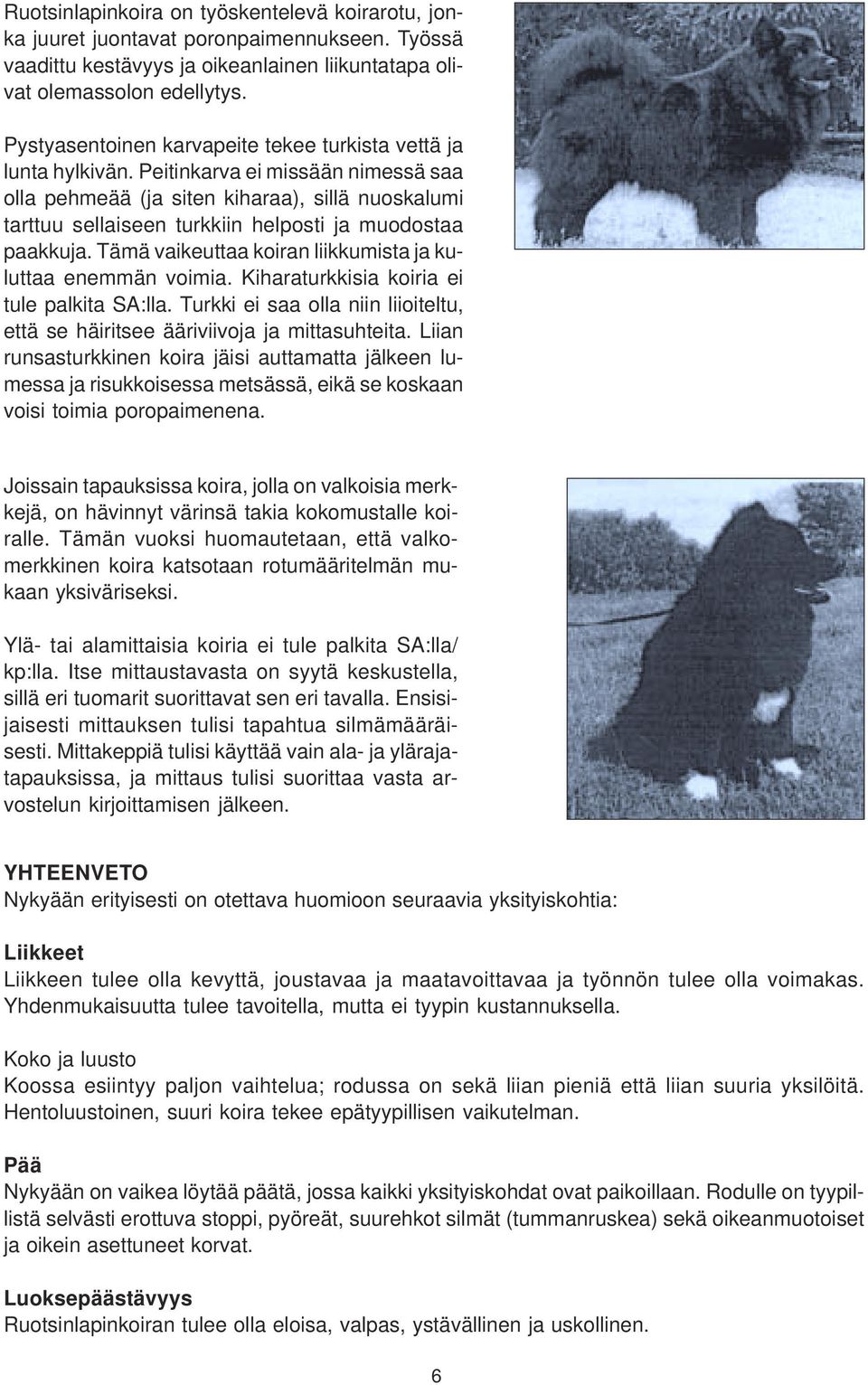Peitinkarva ei missään nimessä saa olla pehmeää (ja siten kiharaa), sillä nuoskalumi tarttuu sellaiseen turkkiin helposti ja muodostaa paakkuja.