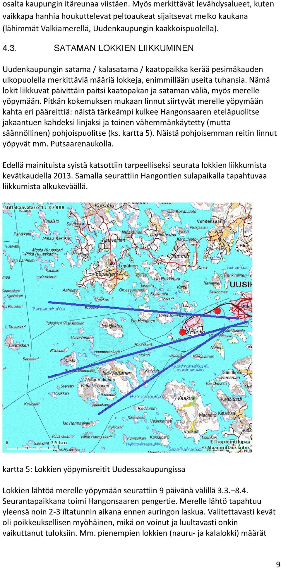 SATAMAN LOKKIEN LIIKKUMINEN Uudenkaupungin satama / kalasatama / kaatopaikka kerää pesimäkauden ulkopuolella merkittäviä määriä lokkeja, enimmillään useita tuhansia.