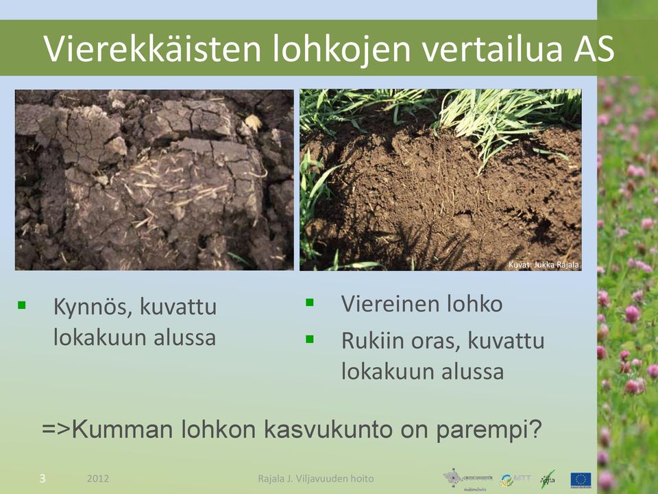 Viereinen lohko Rukiin oras, kuvattu lokakuun