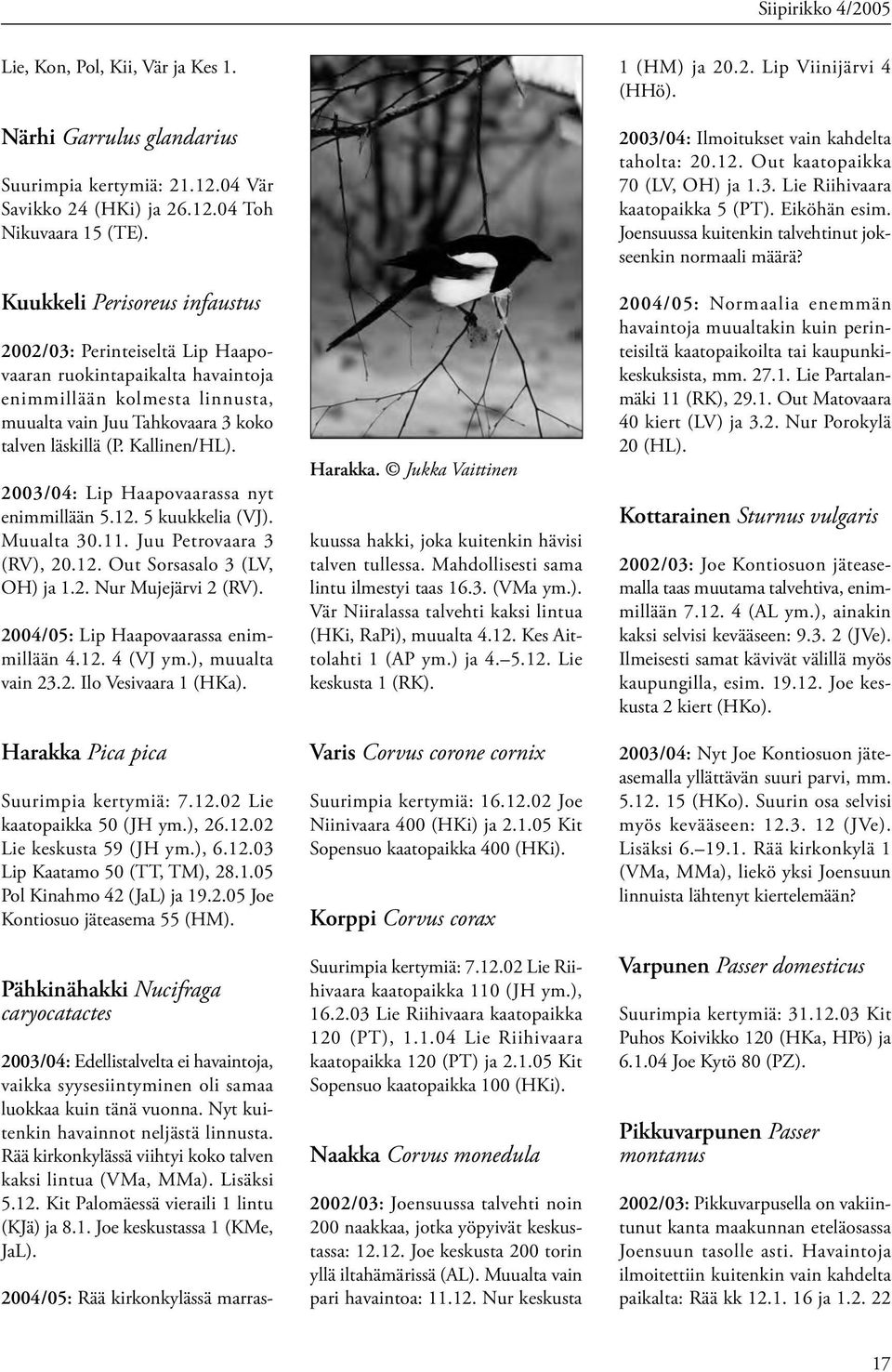 2003/04: Lip Haapovaarassa nyt enimmillään 5.12. 5 kuukkelia (VJ). Muualta 30.11. Juu Petrovaara 3 (RV), 20.12. Out Sorsasalo 3 (LV, OH) ja 1.2. Nur Mujejärvi 2 (RV).