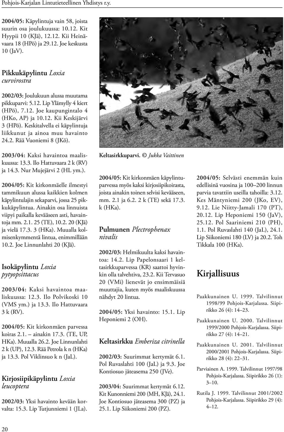 Keskitalvella ei käpylintuja liikkunut ja ainoa muu havainto 24.2. Rää Vuoniemi 8 (JKö).