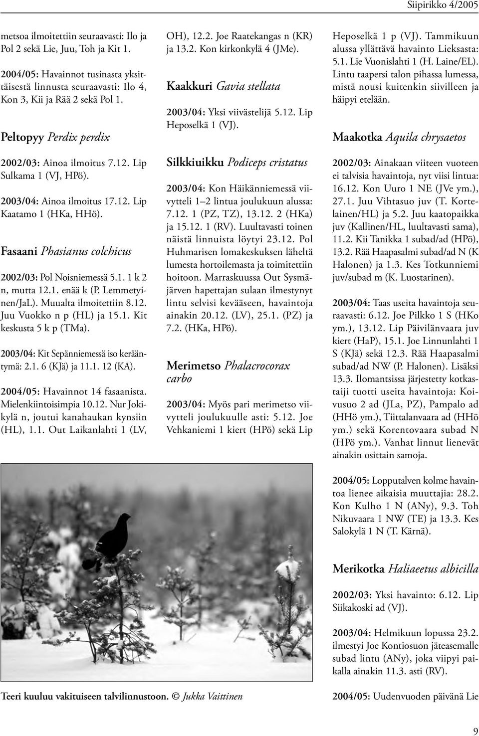 1. enää k (P. Lemmetyinen/JaL). Muualta ilmoitettiin 8.12. Juu Vuokko n p (HL) ja 15.1. Kit keskusta 5 k p (TMa). 2003/04: Kit Sepänniemessä iso kerääntymä: 2.1. 6 (KJä) ja 11.1. 12 (KA).