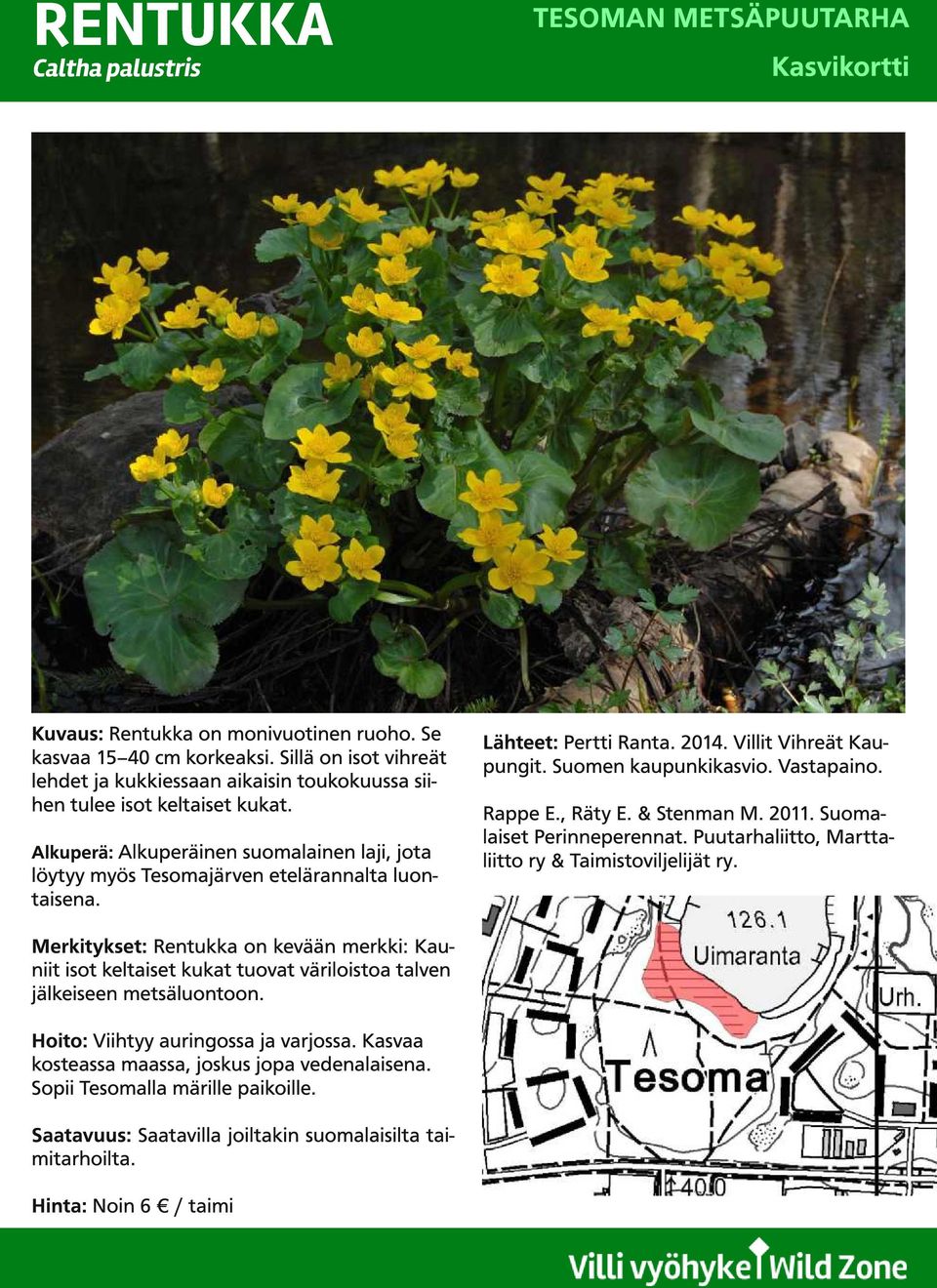 Merkitykset: Rentukka on kevään merkki: Kauniit isot keltaiset kukat tuovat väriloistoa talven jälkeiseen metsäluontoon. Hoito: Viihtyy auringossa ja varjossa.