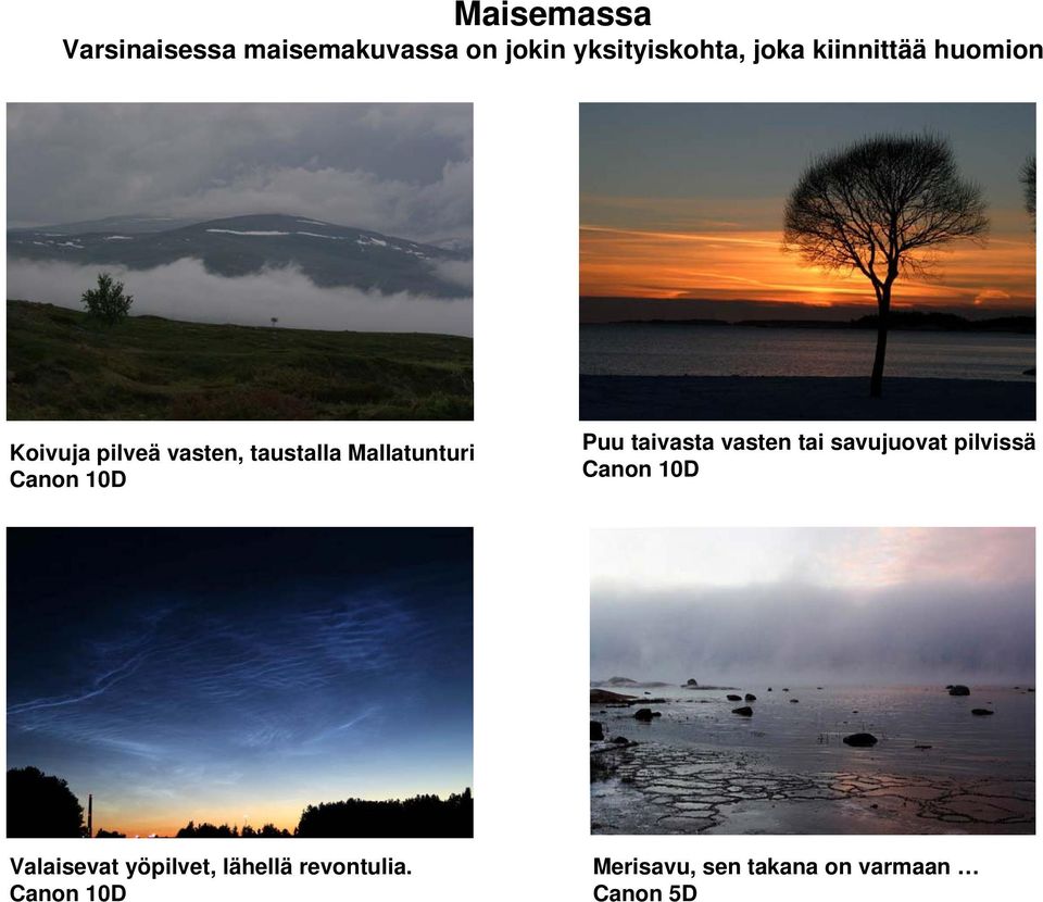 Mallatunturi Puu taivasta vasten tai savujuovat pilvissä