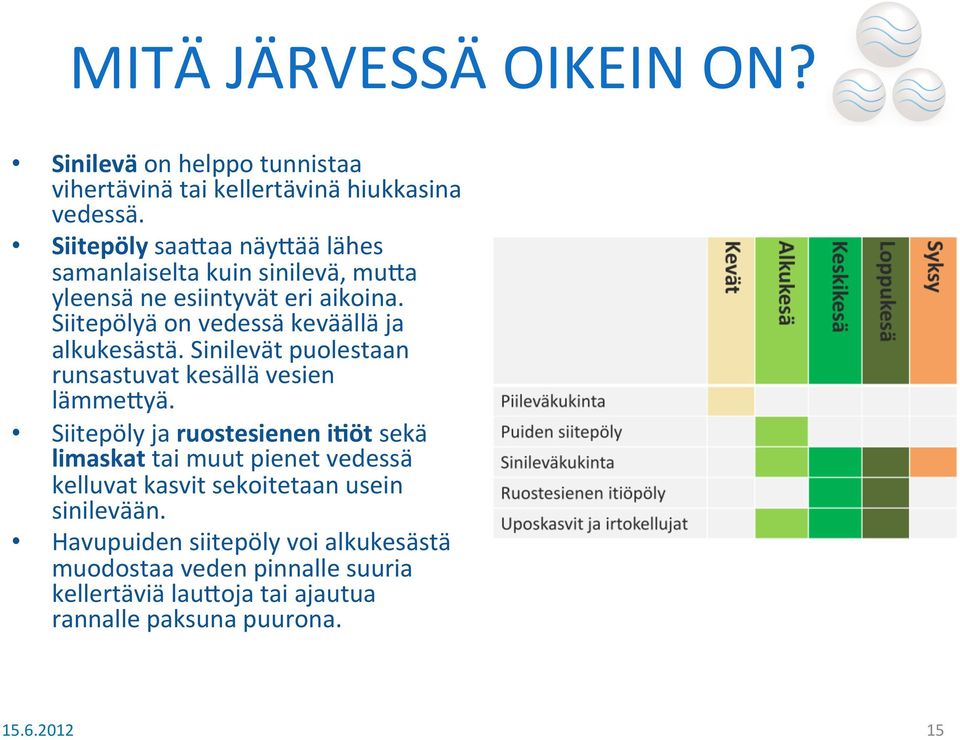 Siitepölyä on vedessä keväällä ja alkukesästä. Sinilevät puolestaan runsastuvat kesällä vesien lämmelyä.