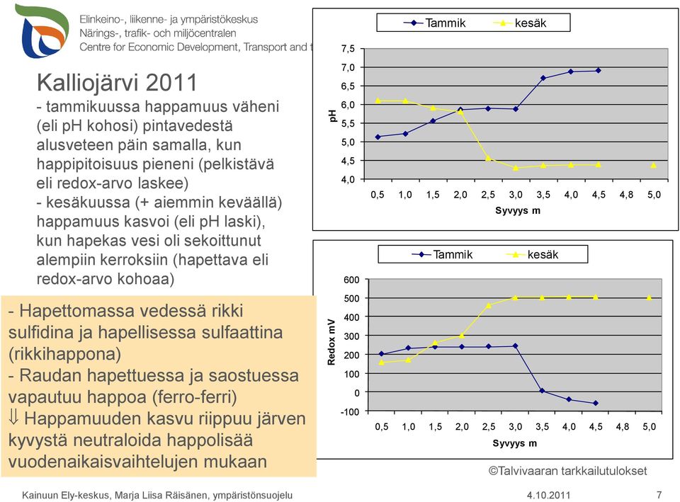 rikki sulfidina ja hapellisessa sulfaattina (rikkihappona) - Raudan hapettuessa ja saostuessa vapautuu happoa (ferro-ferri) Happamuuden kasvu riippuu järven kyvystä neutraloida