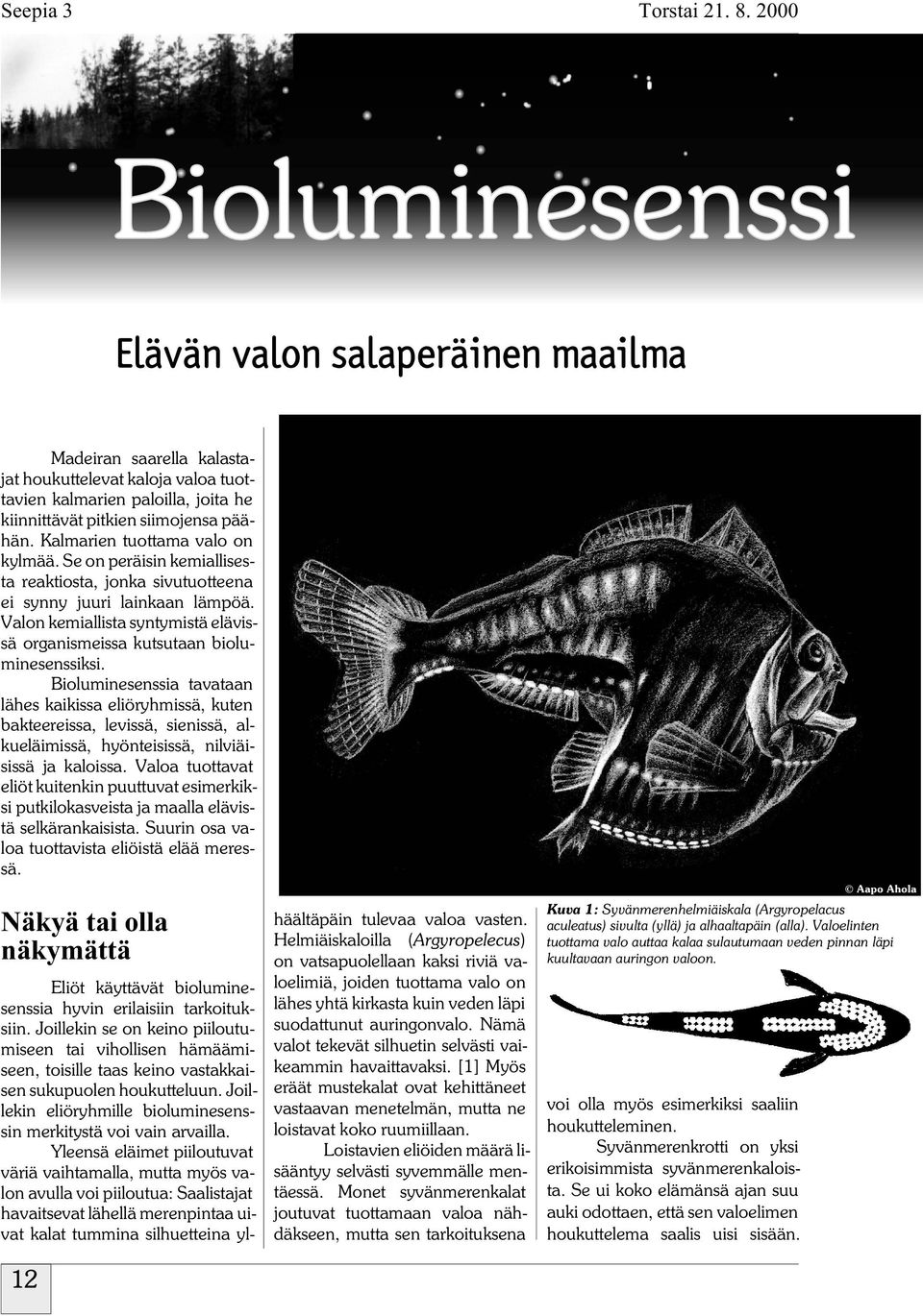 Biolumiesessia tavataa lähes kaikissa eliöryhmissä, kute bakteereissa, levissä, sieissä, alkueläimissä, hyöteisissä, ilviäisissä ja kaloissa.