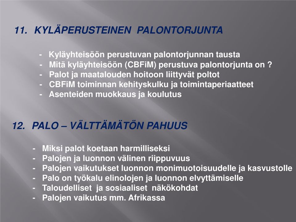 PALO VÄLTTÄMÄTÖN PAHUUS - Miksi palot koetaan harmilliseksi - Palojen ja luonnon välinen riippuvuus - Palojen vaikutukset luonnon