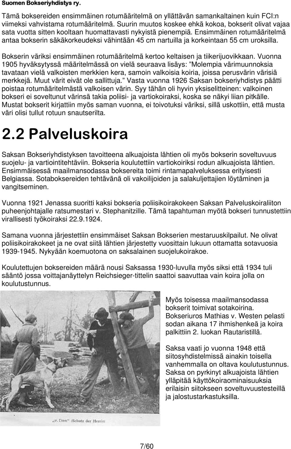 Ensimmäinen rotumääritelmä antaa bokserin säkäkorkeudeksi vähintään 45 cm nartuilla ja korkeintaan 55 cm uroksilla. Bokserin väriksi ensimmäinen rotumääritelmä kertoo keltaisen ja tiikerijuovikkaan.