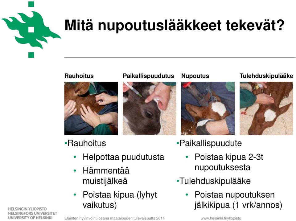 Helpottaa puudutusta Hämmentää muistijälkeä Poistaa kipua (lyhyt