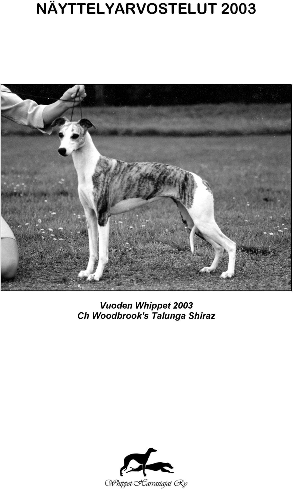 Whippet 2003 Ch