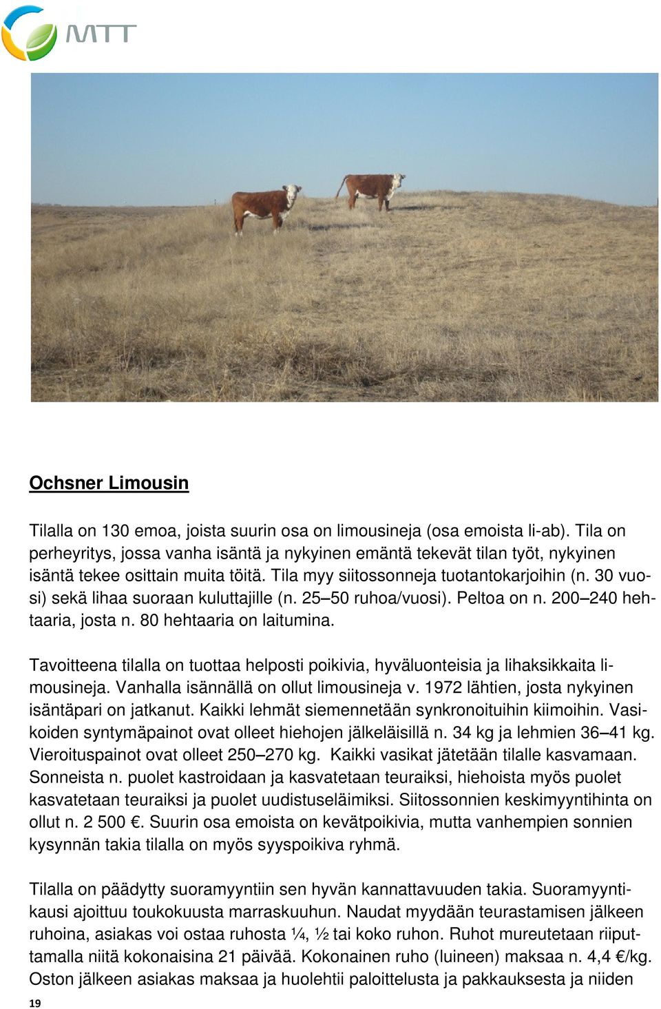 30 vuosi) sekä lihaa suoraan kuluttajille (n. 25 50 ruhoa/vuosi). Peltoa on n. 200 240 hehtaaria, josta n. 80 hehtaaria on laitumina.