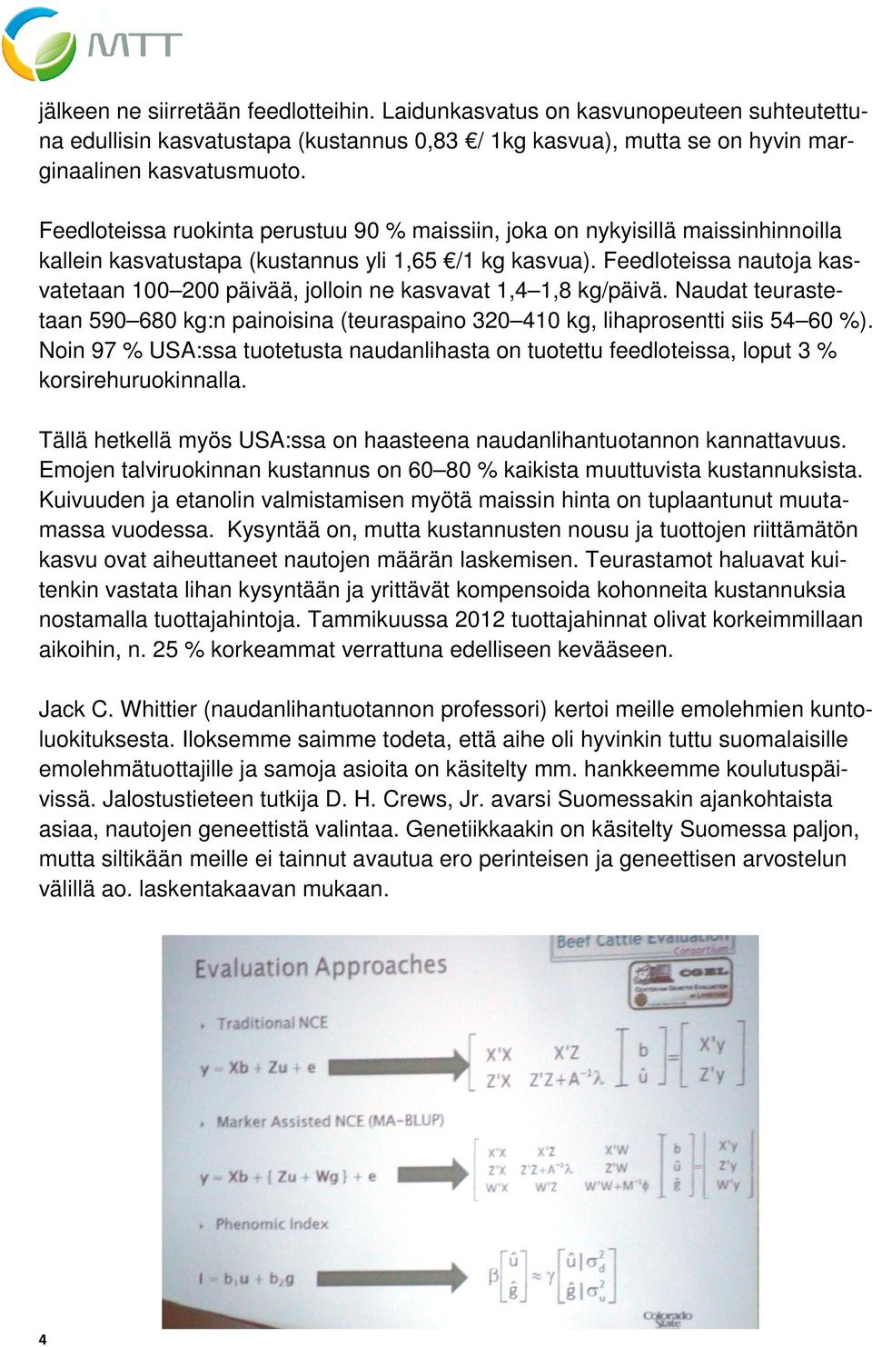 Feedloteissa nautoja kasvatetaan 100 200 päivää, jolloin ne kasvavat 1,4 1,8 kg/päivä. Naudat teurastetaan 590 680 kg:n painoisina (teuraspaino 320 410 kg, lihaprosentti siis 54 60 %).