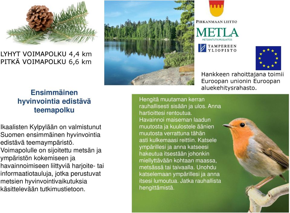 Hengitä muutaman kerran rauhallisesti sisään ja ulos. Anna hartioittesi rentoutua. Havainnoi maiseman laadun muutosta ja kuulostele äänien muutosta verrattuna tähän asti kulkemaasi reittiin.