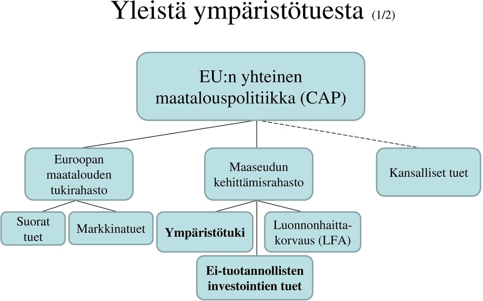 Maaseudun kehittämisrahasto Kansalliset tuet Suorat tuet