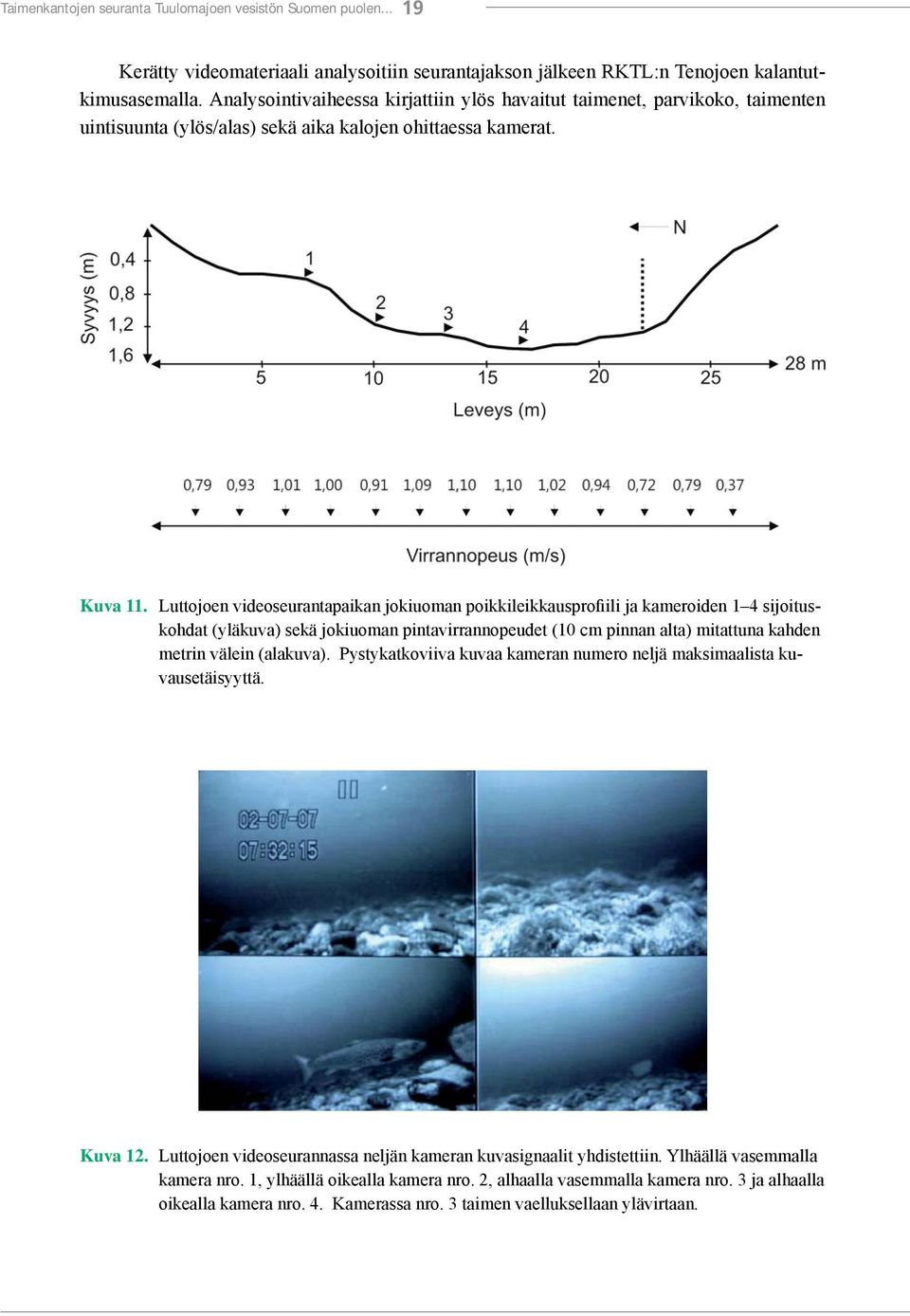 Luttojoen videoseurantapaikan jokiuoman poikkileikkausprofiili ja kameroiden 1 4 sijoituskohdat (yläkuva) sekä jokiuoman pintavirrannopeudet (10 cm pinnan alta) mitattuna kahden metrin välein