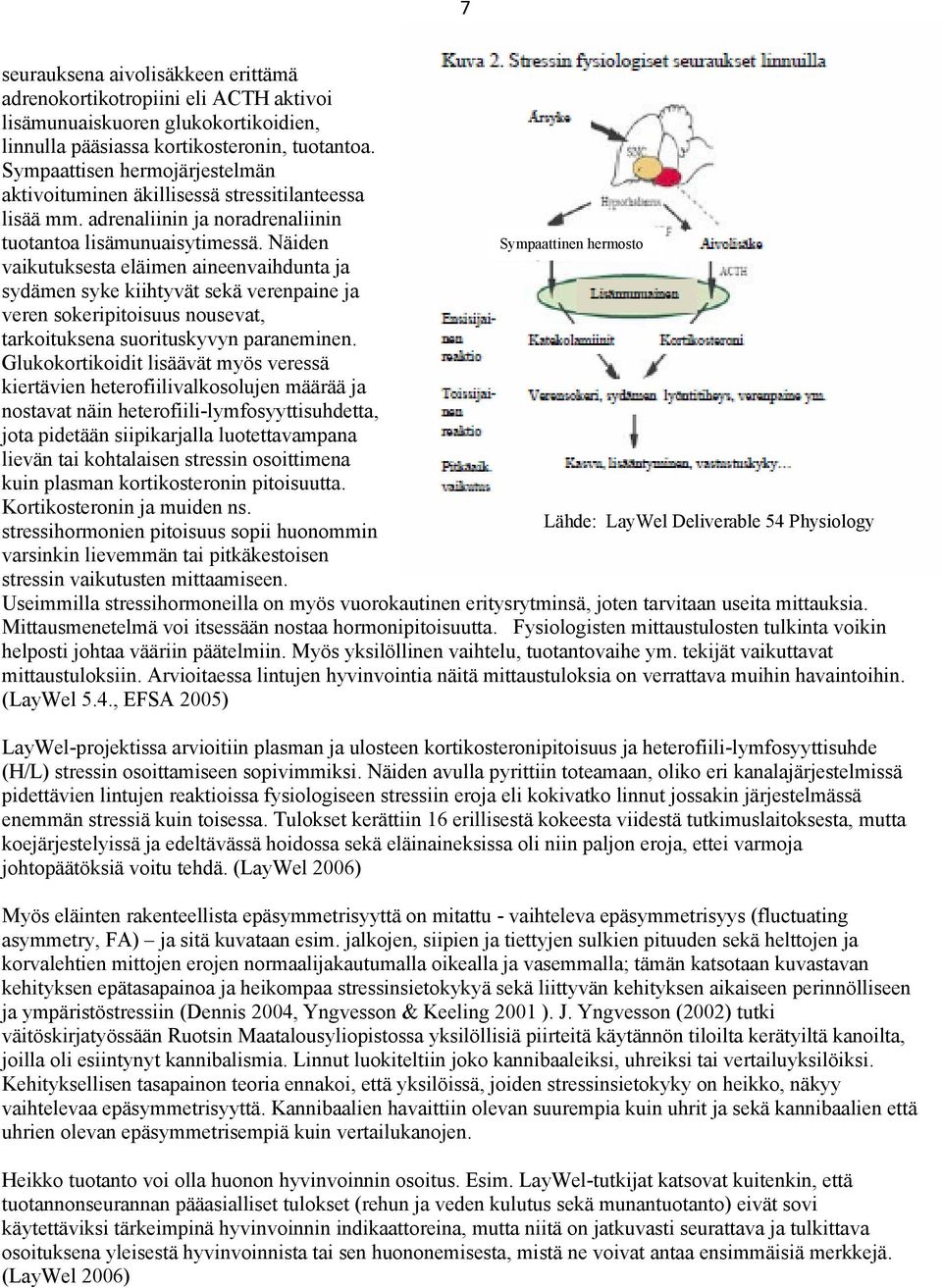 Näiden Sympaattinen hermosto vaikutuksesta eläimen aineenvaihdunta ja sydämen syke kiihtyvät sekä verenpaine ja veren sokeripitoisuus nousevat, tarkoituksena suorituskyvyn paraneminen.