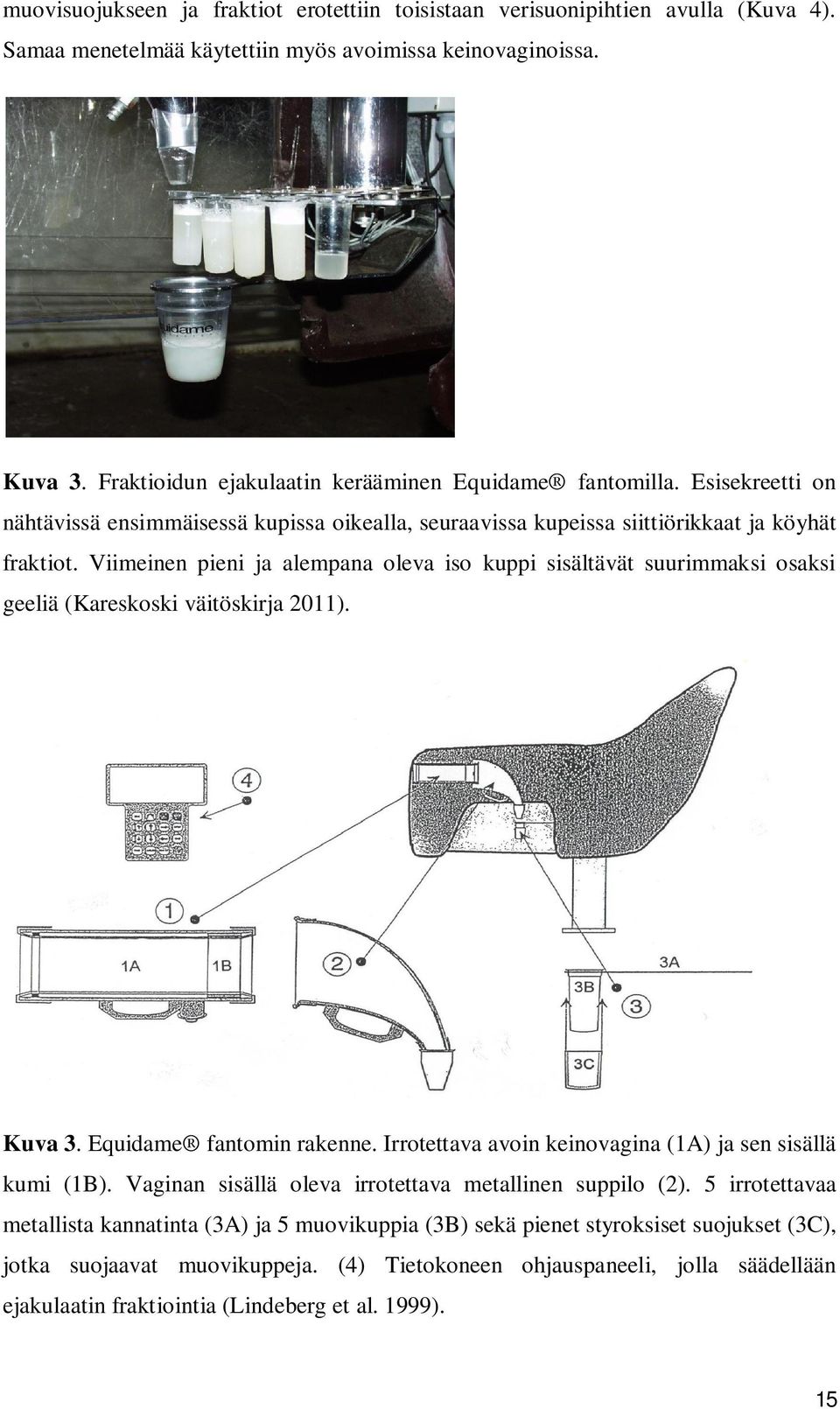 Viimeinen pieni ja alempana oleva iso kuppi sisältävät suurimmaksi osaksi geeliä (Kareskoski väitöskirja 2011). Kuva 3. Equidame fantomin rakenne.