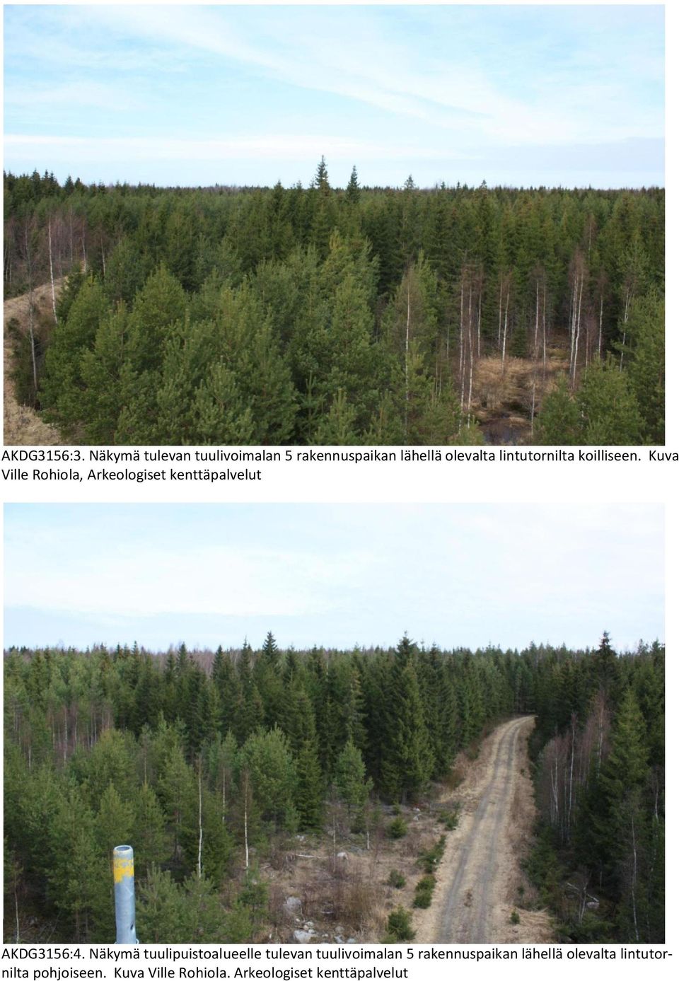 koilliseen. Kuva Ville Rohiola, Arkeologiset kenttäpalvelut AKDG3156:4.