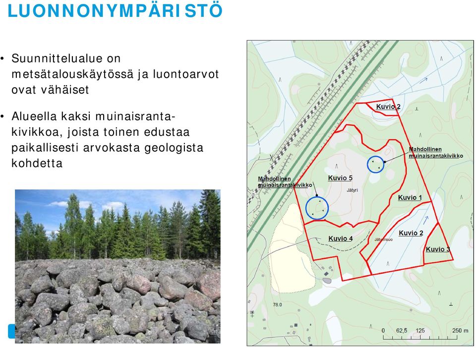 vähäiset Alueella kaksi muinaisrantakivikkoa,