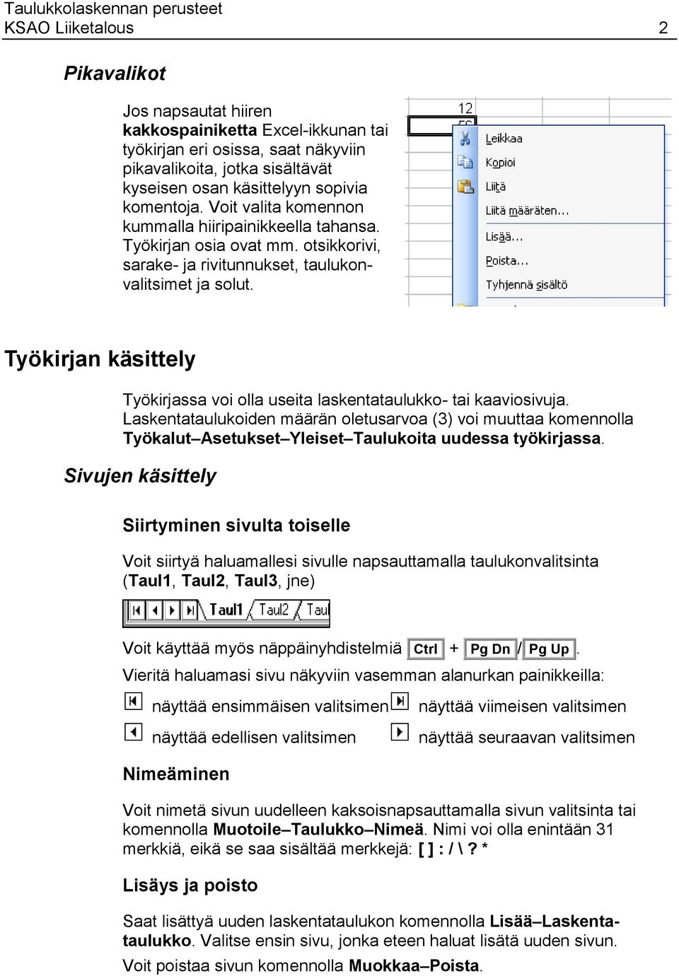 Työkirjan käsittely Työkirjassa voi olla useita laskentataulukko- tai kaaviosivuja.