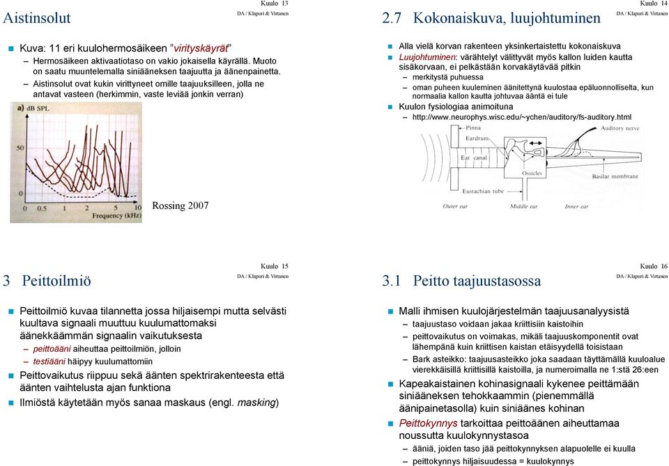 Alla vielä korvan rakenteen yksinkertaistettu kokonaiskuva!