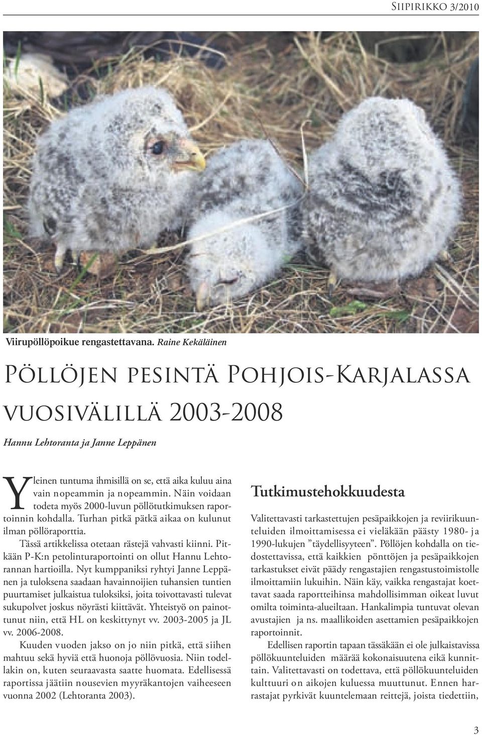 Näin voidaan todeta myös 2000-luvun pöllötutkimuksen raportoinnin kohdalla. Turhan pitkä pätkä aikaa on kulunut ilman pöllöraporttia. Tässä artikkelissa otetaan rästejä vahvasti kiinni.