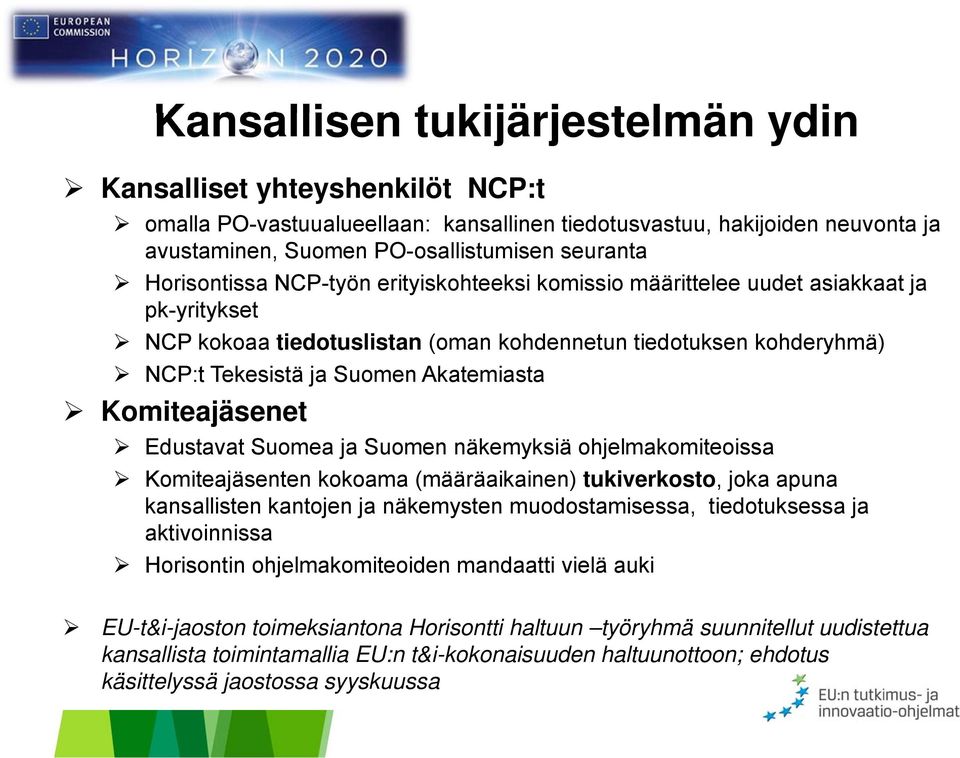 Komiteajäsenet Edustavat Suomea ja Suomen näkemyksiä ohjelmakomiteoissa Komiteajäsenten kokoama (määräaikainen) tukiverkosto, joka apuna kansallisten kantojen ja näkemysten muodostamisessa,