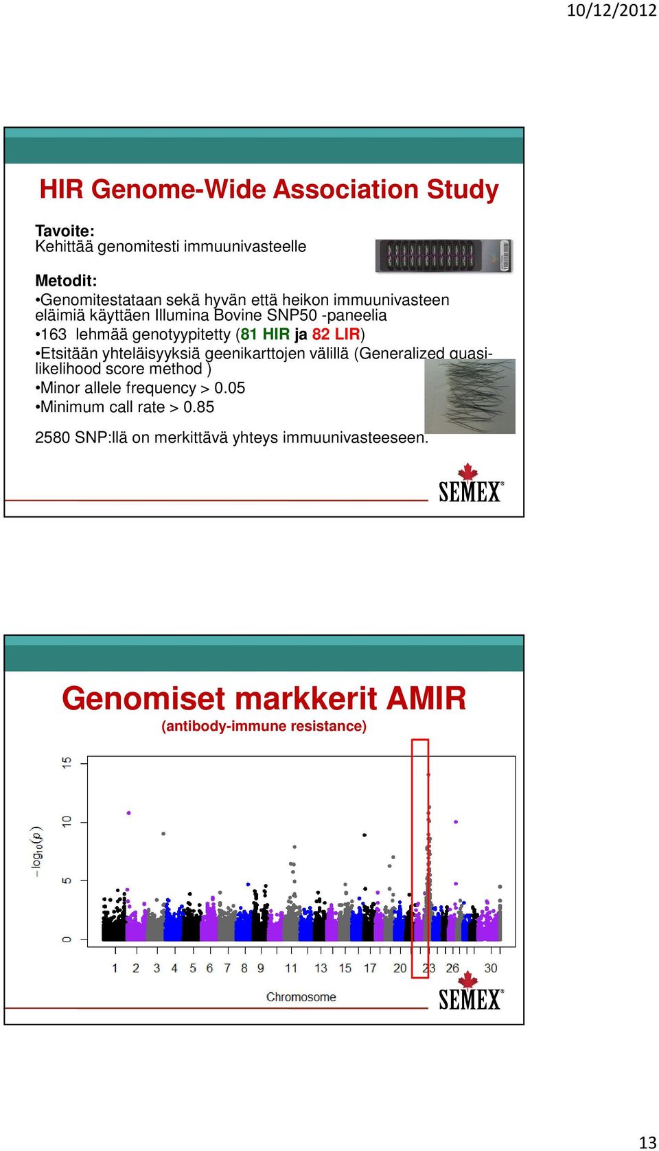 Etsitään yhteläisyyksiä geenikarttojen välillä (Generalized quasilikelihood score method ) Minor allele frequency > 0.