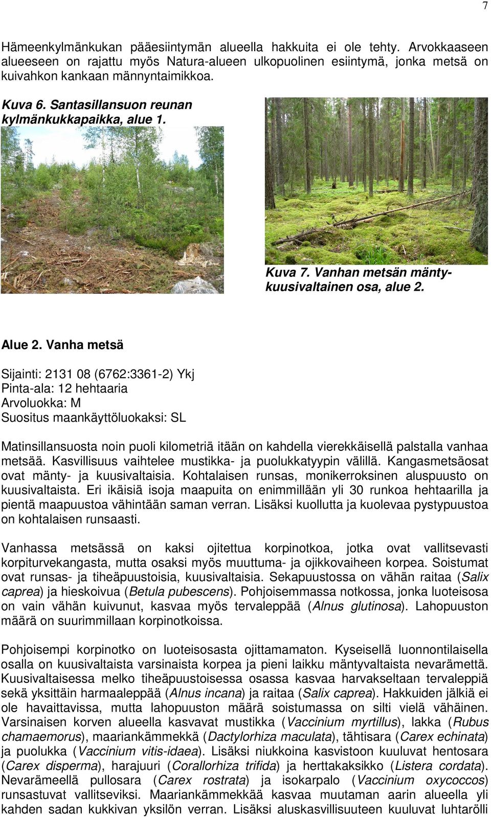 Vanha metsä Sijainti: 2131 08 (6762:3361-2) Ykj Pinta-ala: 12 hehtaaria Arvoluokka: M Suositus maankäyttöluokaksi: SL Matinsillansuosta noin puoli kilometriä itään on kahdella vierekkäisellä