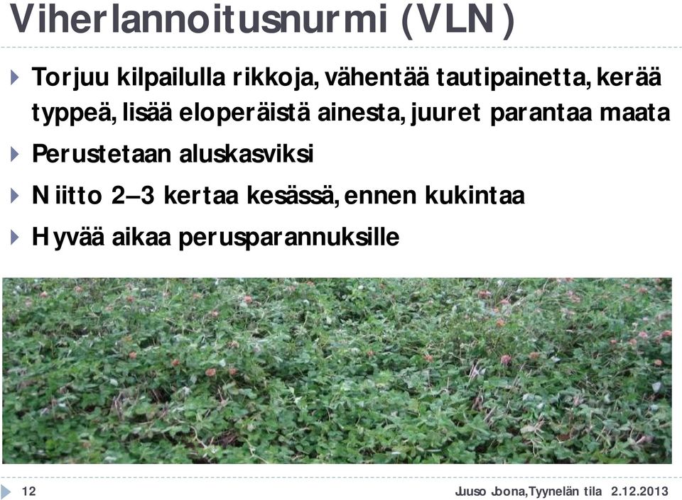 parantaa maata Perustetaan aluskasviksi Niitto 2 3 kertaa kesässä,