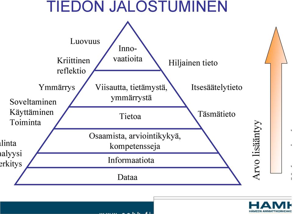 Ymmärrys Viisautta, tietämystä, ymmärrystä Tietoa Osaamista,